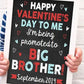 Happy Valentine's Day to Me, Promoted Big Brother Pregnancy Announcement