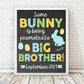 Easter Big Brother Pregnancy Announcement Print