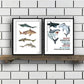 Personalized Always Be A Shark 2 Print Set